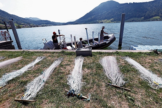 Aquabiose 2019 Aegerisee